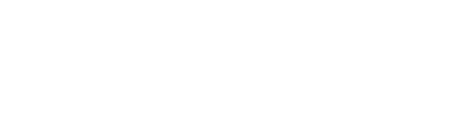 Expert