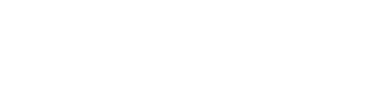 Media Expert