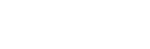 Expert